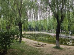 -丰台科技园生态主题公园