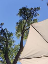 -复旦大学附属妇产科医院(杨浦院区)