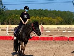 -北京群众马术培训基地