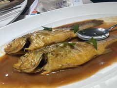 -大锅强·蒸海鲜青岛菜(吾悦广场店)