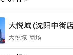 -大悦城(沈阳中街店)