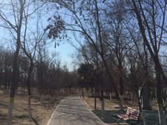 -大兴滨河森林公园