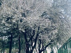-陕西师范大学(雁塔校区)