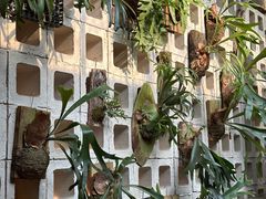 -自由生长植物工作室(深港花卉中心店)