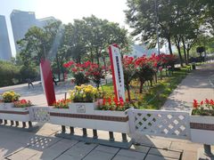 -钱江新城
