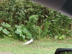 -福建鲤鱼洲酒店