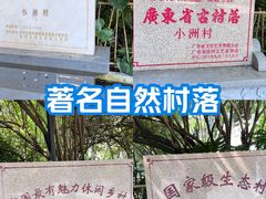-小洲村