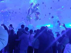 -石家庄极地海洋世界