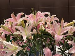 -西湖春天(中州店)