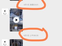 -喜多萌中农锦绣动物医院24H·猫科·牙科MRI·CT