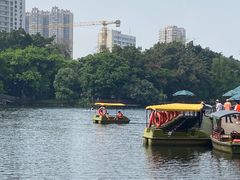 -荔湾湖公园