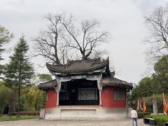 -武侯墓风景区
