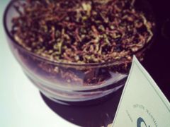 清新空气的茶叶梗和慢象卡片-慢象咖啡(台江店)