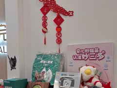 -瑞派·关忠动物医院·猫专科·犬专科(三环新城店)
