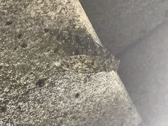-中铁花水湾四季温泉谷