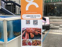 -宝健路步行街(Pedestrian Shopping Street)