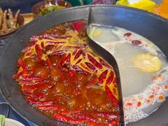 -阳阳老火锅(小南门店)