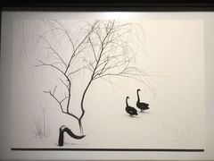 -罗红摄影艺术馆