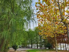 -上海海湾国家森林公园