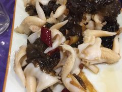 -威海渔村(静安旗舰店)
