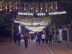 -朝阳公园游乐园