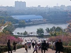 -五龙客家风情园