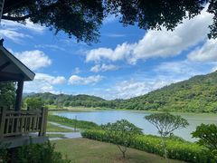 -风云岭森林公园