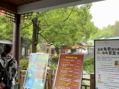 -夏霖九天银瀑风景区