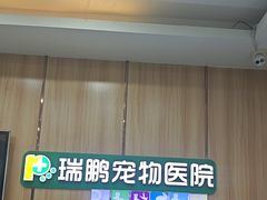 -瑞鹏宠物医院·夜间急症·心超·猫科(祖庙分店)