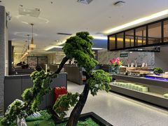 -万达广场(东营西城店)