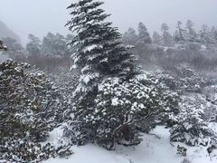 -石卡雪山