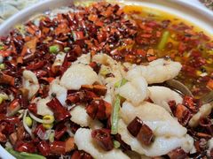 -前海沿·青岛菜(大拇指广场石老人店)