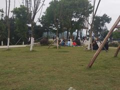 -铁山坪森林公园