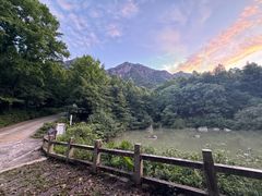 -莲峰云海景区