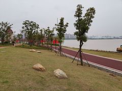 -九龙湖公园