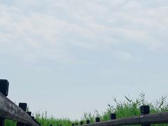 -西青郊野公园