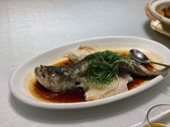 -梧桐餐厅(泉城路店)