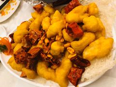 -金蝉食府(维吉奥广场店)