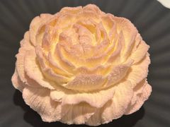 -潮一不贰·法式甜品·生日蛋糕·西式简餐(外滩店)