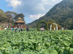 -广州市石门国家森林公园
