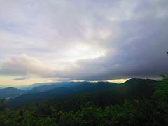 -武陵山森林公园