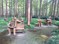 -黄海国家森林公园