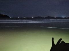 -普陀山雷迪森庄园