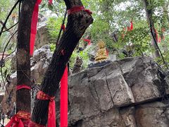 -宝通禅寺