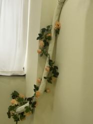 -斐尔国际皮肤管理中心