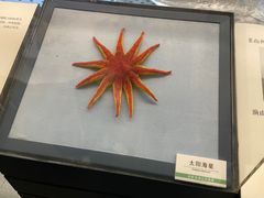 -浙江自然博物院(杭州馆)
