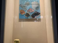 -安徽省地质博物馆