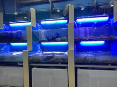 水产区-老虎滩大连海鲜烧烤(建邺云锦路总店)