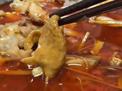-味之溢美蛙仔姜兔·肥肠鱼•耗儿鱼(文星店)