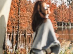 -白鹭湾湿地公园